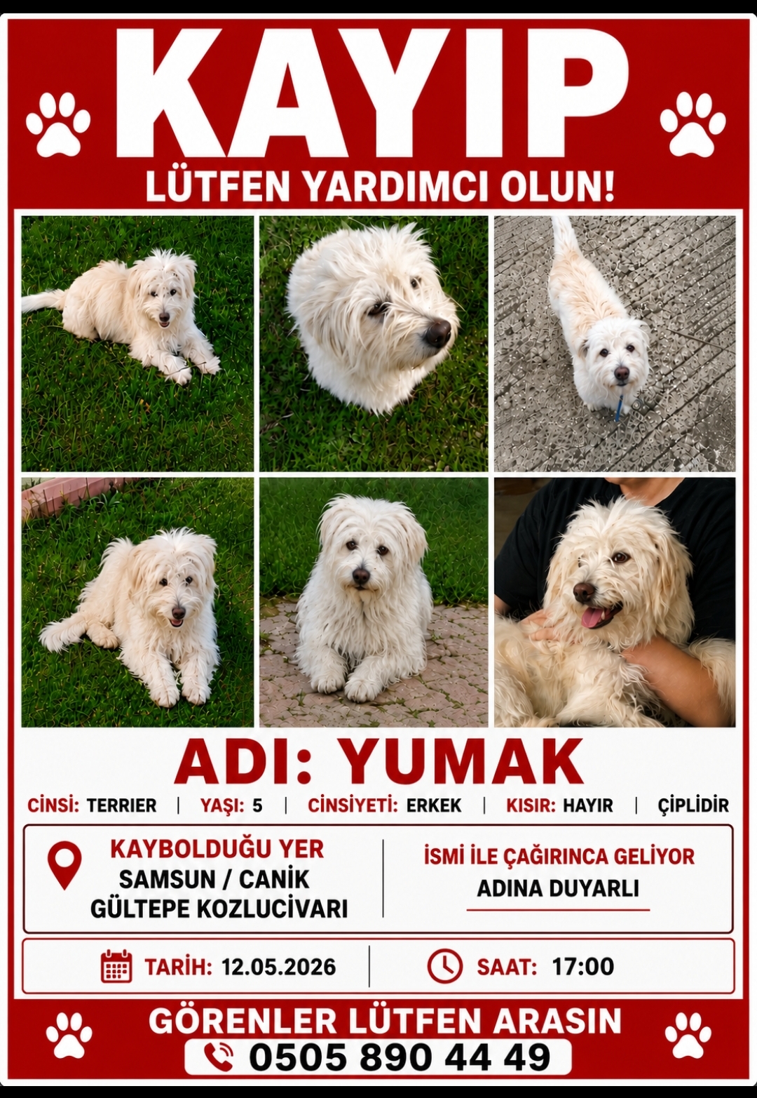 Yumağı bulmamıza yardım edin