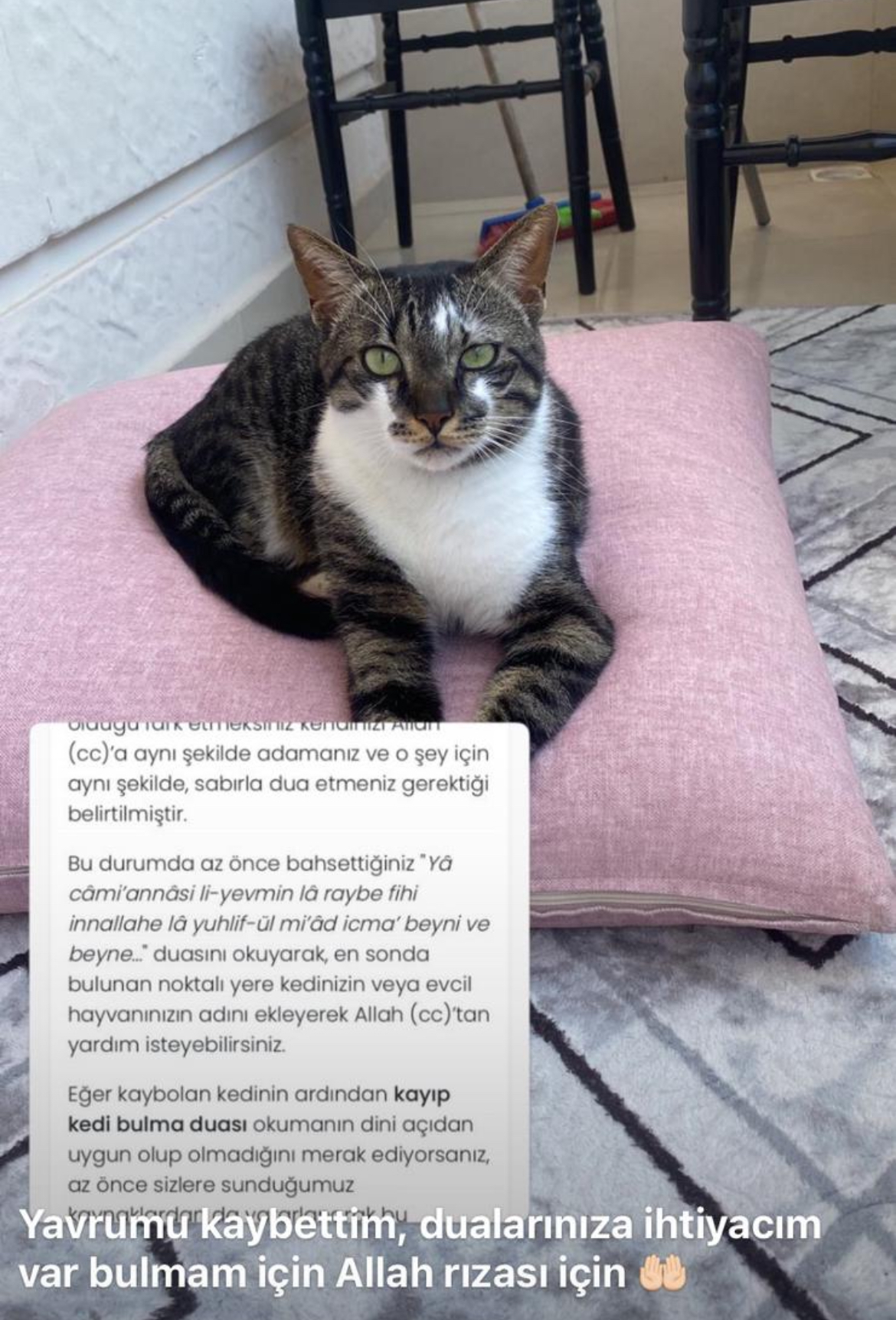 PAŞAMIZI KAYBETTİK