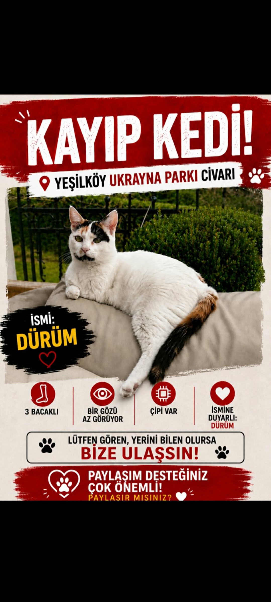 Yesilköy Ukrayna parkı civarinda