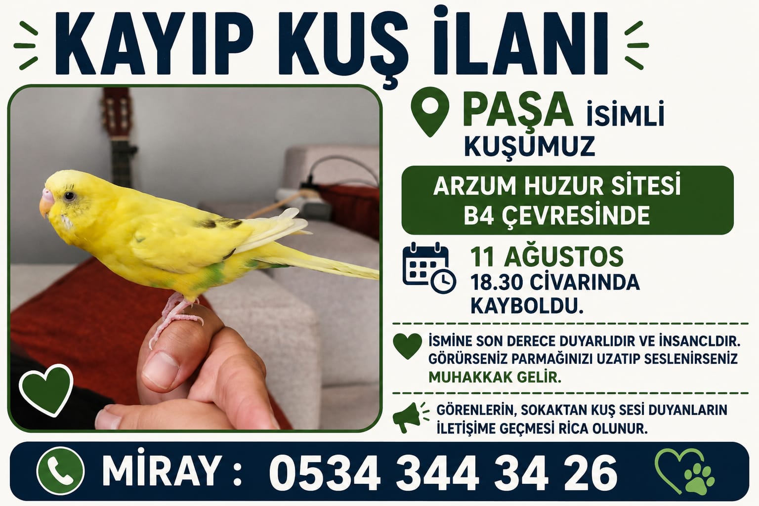 KAYIP MUHABBET KUŞUMUZ PAŞA (ANK/BATIKENT)