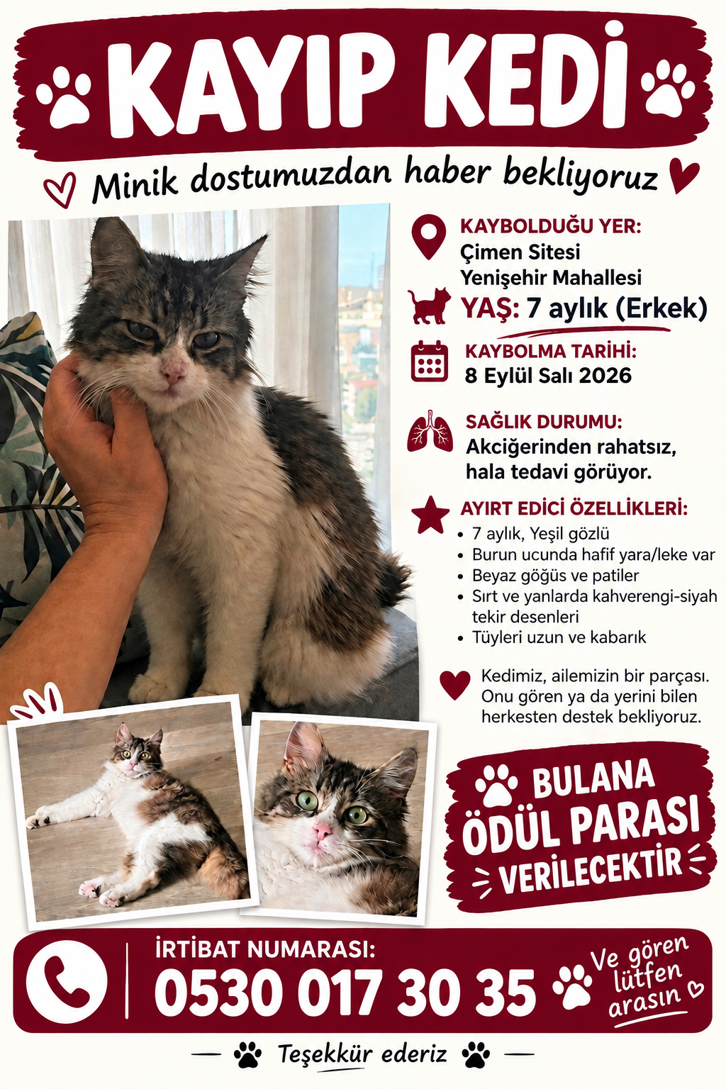 Kayıp kedimiz pufidik