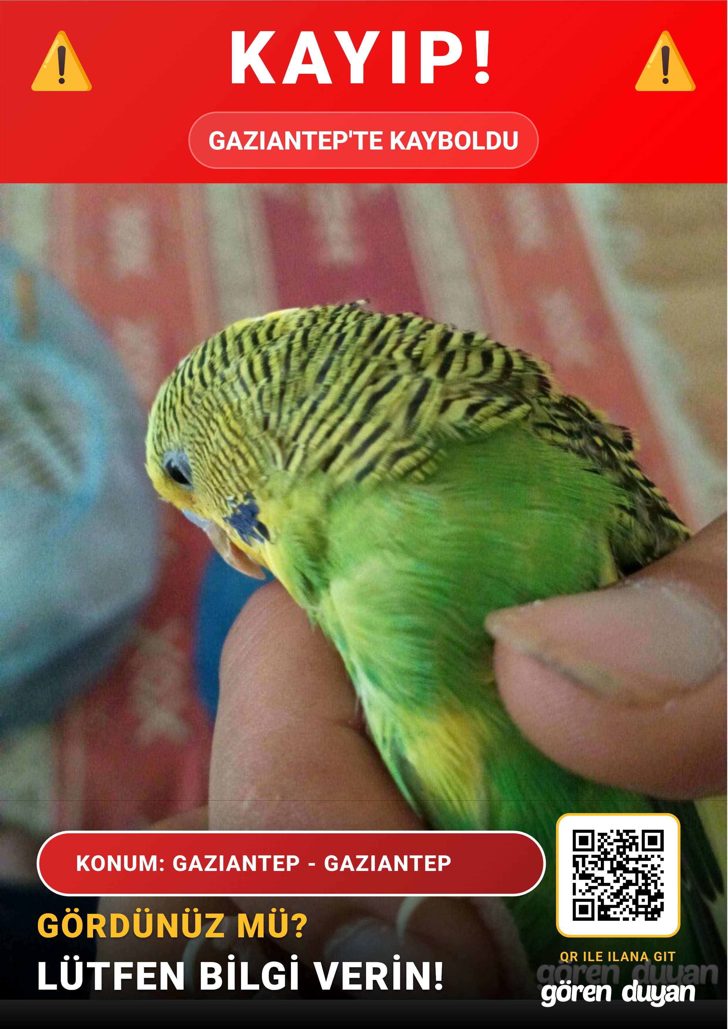 Muhabbet Kuşum Gaziantep Yeditepede Kayboldu